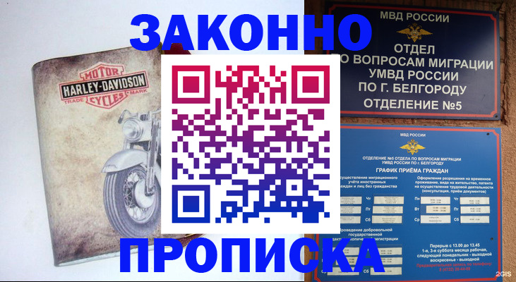 прописка для школы в Березниках